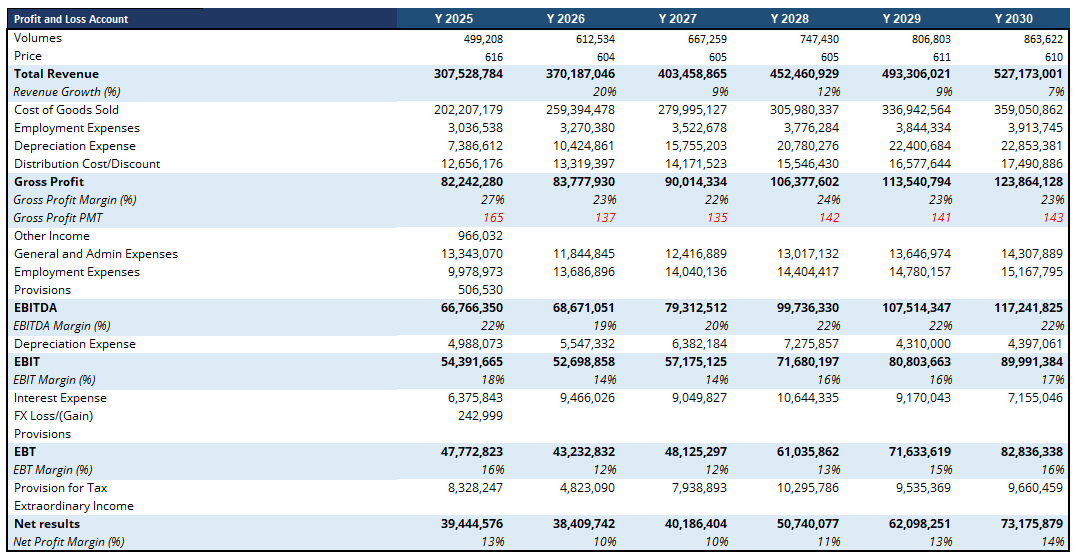 Financial Simulation Interface